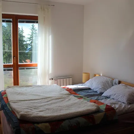 Apartman Bozic *